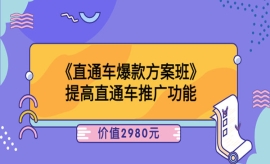 《第67期》《直通车爆款方案班》...