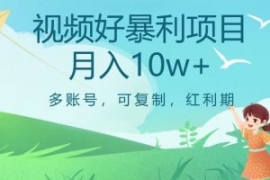 视频号暴利项目，多账号，可复制...