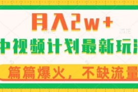 中视频计划全新玩法，月入2w+，...