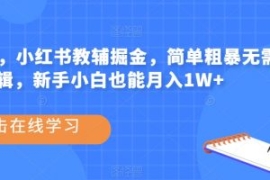 热门蓝海，小红书教辅掘金，简单...
