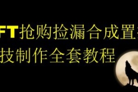 NFT抢购捡漏合成置换科技制作全...