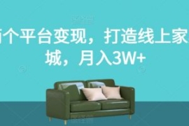 两个平台变现，打造线上家具城，...