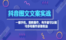 《第155期》抖音图文毒文案实战...