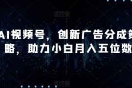 AI视频号，创新广告分成策略，助...
