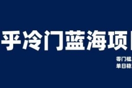 知乎冷门蓝海项目，零门槛教你如...
