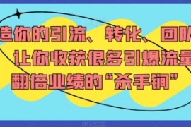 打造你的引流、转化、团队系统，...