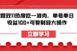 蹭双11热度吃一波肉，单号单日收...