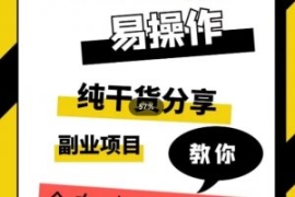 全自动游戏租赁，实操教学，手把...