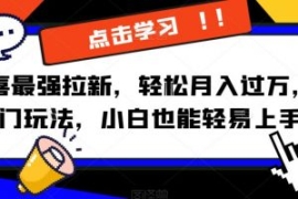 京喜最强拉新，轻松月入过万，偏...