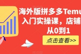 海外版拼多多Temu快速入门实操课...
