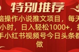 无脑操作【小说推文项目】，兼职...