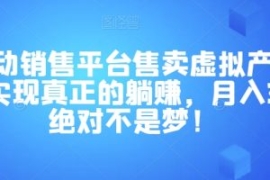 全自动销售平台售卖虚拟产品，助...