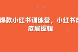21天爆款小红书训练营，小红书爆...
