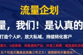 流量企划，打造个人IP，放大私域...