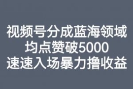 视频号分成蓝海领域，均点赞破50...
