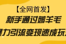 【全网首发】新手通过薅羊毛暴力...