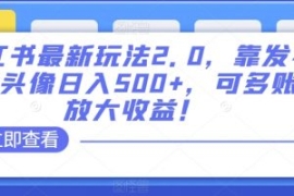 小红书最新玩法2.0，靠发布精品...