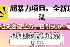 超暴利项目，全新玩法（辞职卖情...