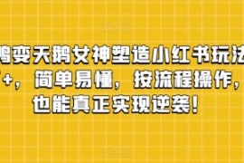 丑小鸭变天鹅女神塑造小红书玩法...