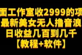 外面工作室收2999的项目最新美女...