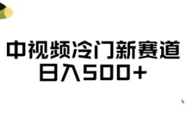 中视频冷门新赛道，做的人少，三...