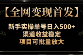 【全网变现首发】新手实操单号日...