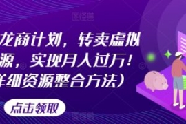 游戏回龙商计划，转卖虚拟游戏资...