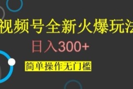 视频号最新爆火玩法，日入300+，...