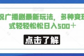 小说广播剧最新玩法，多种变现方...