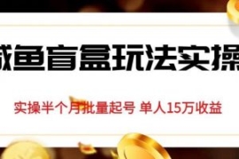 独家首发咸鱼盲盒玩法实操，半个...