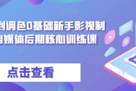 从剪辑到调色0基础新手影视制作...