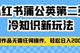 小红书蒲公英第二弹冷知识新玩法...