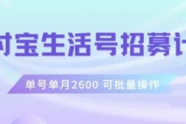 支付宝生活号作者招募计划，单号...
