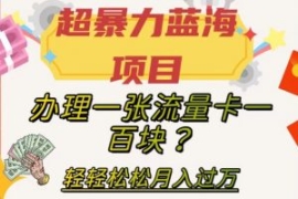 超暴力蓝海项目，办理一张流量卡...
