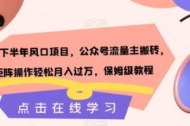 2023下半年风口项目，公众号流量...