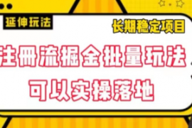 注册流掘金批量玩法，可以实操落...