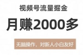 视频号流量掘金，无脑操作，对新...