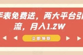 手表免费送，两大平台引流，月入...