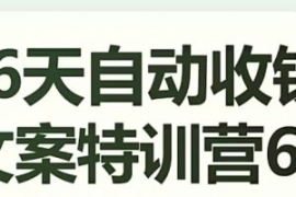 16天自动收钱文案特训营6.0，学...