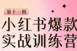 小红书博主爆款训练营第11期，手...