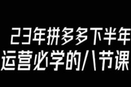 大牙·23年下半年拼多多运营必学...