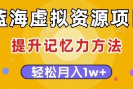 蓝海虚拟资源项目，提升记忆力方...