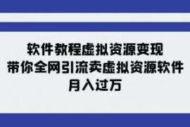 软件教程虚拟资源变现：带你全网...