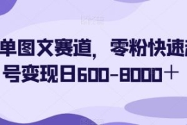 简单图文赛道，零粉快速起号变现...