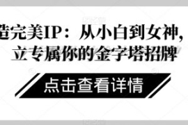 打造完美IP：从小白到女神，建立...