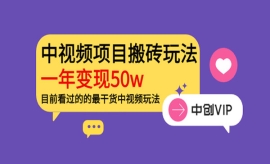 《第100期》中视频项目搬砖玩法...
