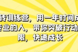 板砖训练营，用一年时间成为专业...