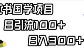 小红书国学项目，轻松引流100+，...