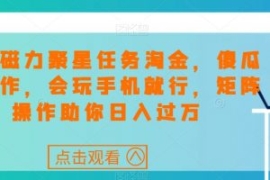 快手磁力聚星任务淘金，傻瓜式操...